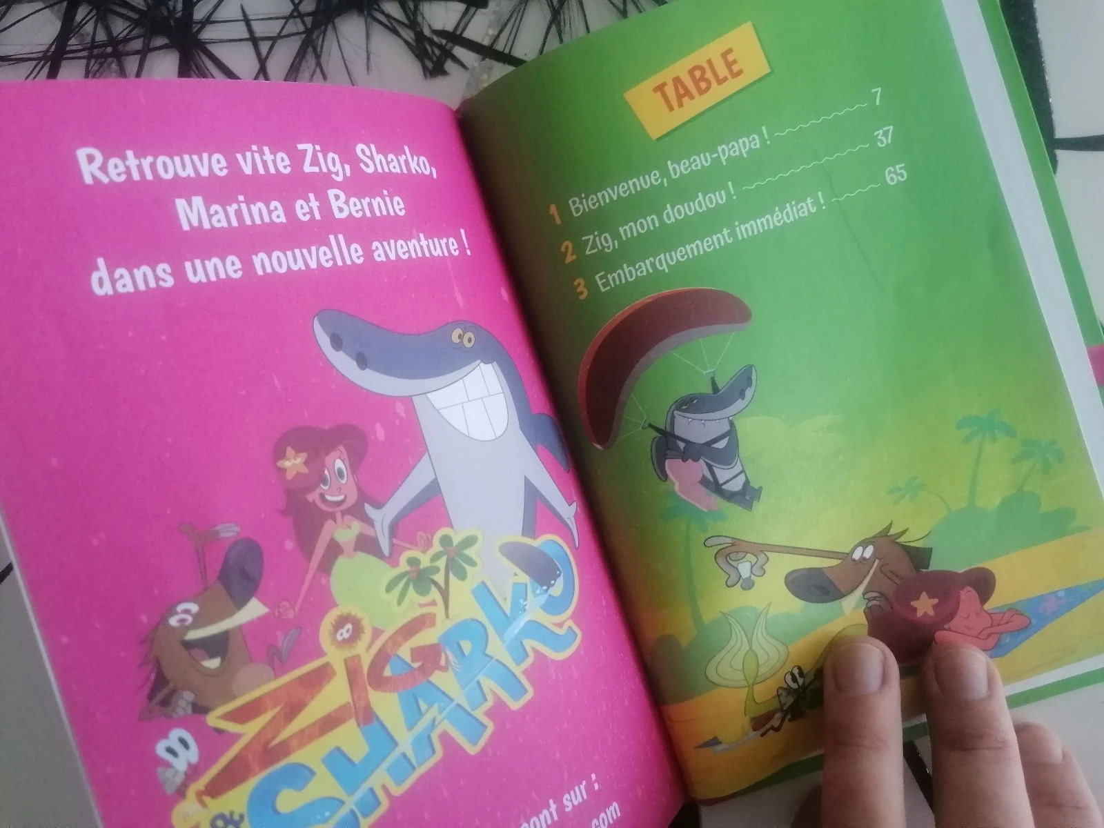 Livro Zig & Sharko – photo 5
